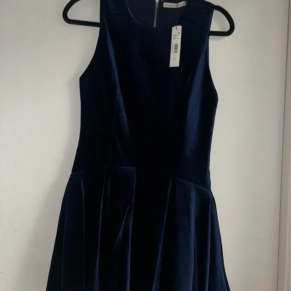 Alice & Olivia Adley Velvet Mini Dress - Picture 2 of 3